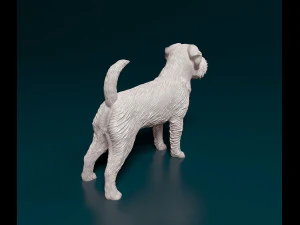 Brussels Griffon 3D Print Model