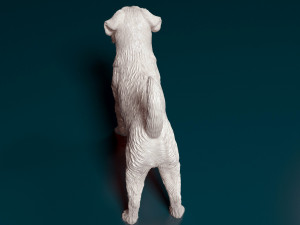 Brussels Griffon Modelo de Impressão 3D