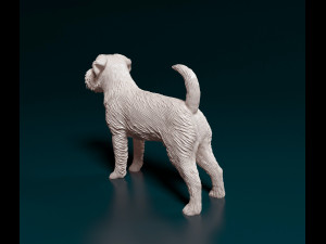 Brussels Griffon Modelo de Impressão 3D