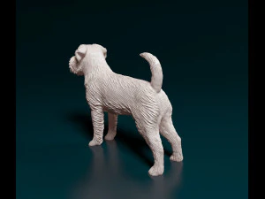 Brussels Griffon 3D Print Model