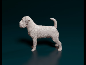 Brussels Griffon Modelo de Impressão 3D