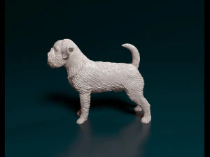 Brussels Griffon 3D Print Model