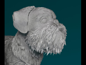 Brussels Griffon Modelo de Impressão 3D