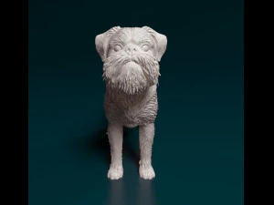 Brussels Griffon 3D Print Model