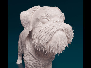 Brussels Griffon Modelo de Impressão 3D