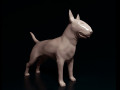 Bull terrier 3D प्रिंट मॉडल