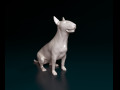 Bull terrier sitting Modelo de impresión 3D