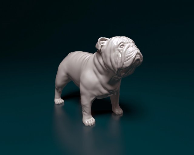 Bulldog Modello di stampa 3D .c4d .max .obj .3ds .fbx .stl .blend 