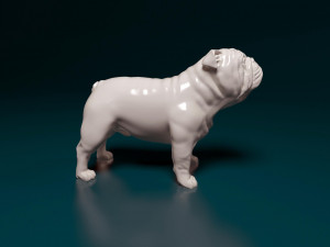 Bulldog Modello di stampa 3D