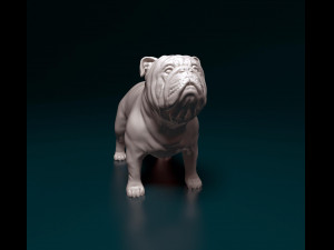 Bulldog Modello di stampa 3D