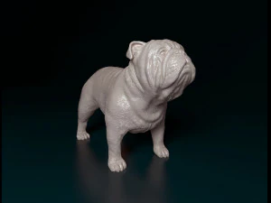 Bulldog Modello di stampa 3D