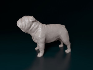 Bulldog Modello di stampa 3D