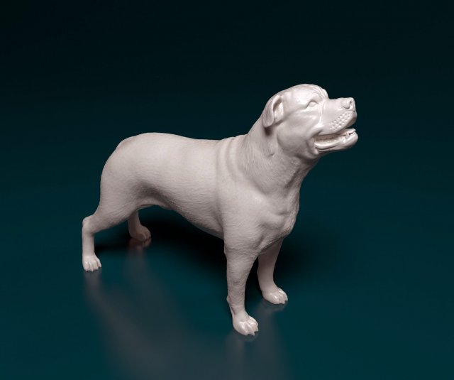 Ca de Bou 3D Print Model .c4d .max .obj .3ds .fbx .stl .blend 