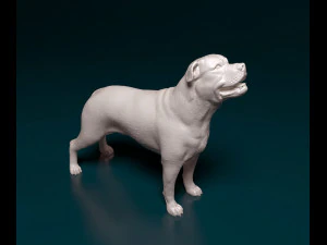 Ca de Bou 3D Print Model