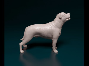 Ca de Bou 3D Print Model