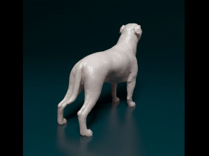 Ca de Bou 3D Print Model