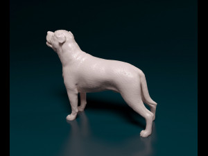 Ca de Bou 3D Print Model