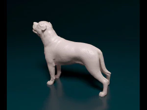 Ca de Bou 3D Print Model