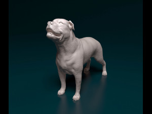 Ca de Bou 3D Print Model