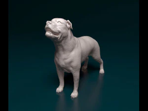 Ca de Bou 3D Print Model