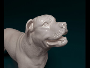 Ca de Bou 3D Print Model