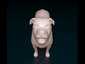 Ca de Bou 3D Print Model