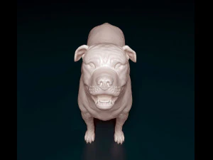 Ca de Bou 3D Print Model