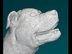 Ca de Bou 3D Print Model