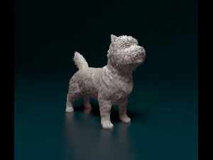 Terrier des Cairns Modèles 3D en vedette