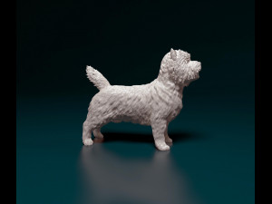Cairn terrier Modelo de Impressão 3D