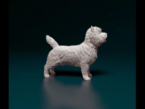 Cairn terrier 3D Print Model