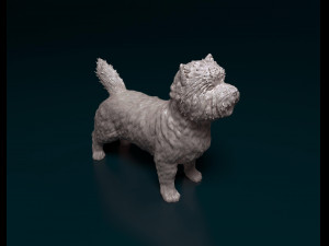 Cairn terrier Modelo de Impressão 3D