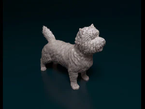 Cairn terrier 3D Print Model