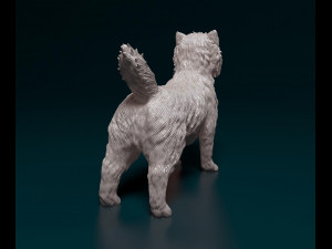 Cairn terrier Modelo de Impressão 3D