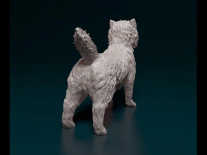 Cairn terrier 3D Print Model