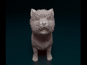 Cairn terrier Modelo de Impressão 3D