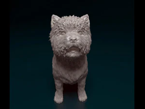 Cairn terrier 3D Print Model