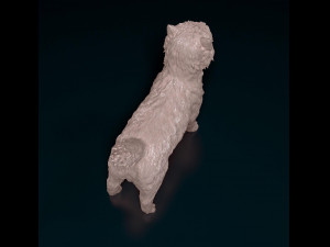 Cairn terrier Modelo de Impressão 3D