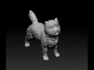 Cairn terrier Modelo de Impressão 3D