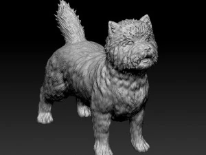Cairn terrier 3D Print Model