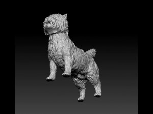 Cairn terrier Modelo de Impressão 3D