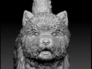 Cairn terrier 3D Print Model