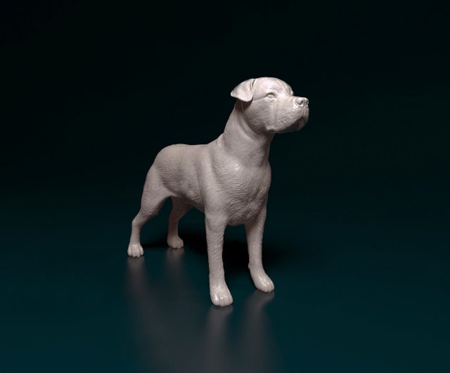 Cane Corso 3D 打印模型 .c4d .max .obj .3ds .fbx .stl .blend 