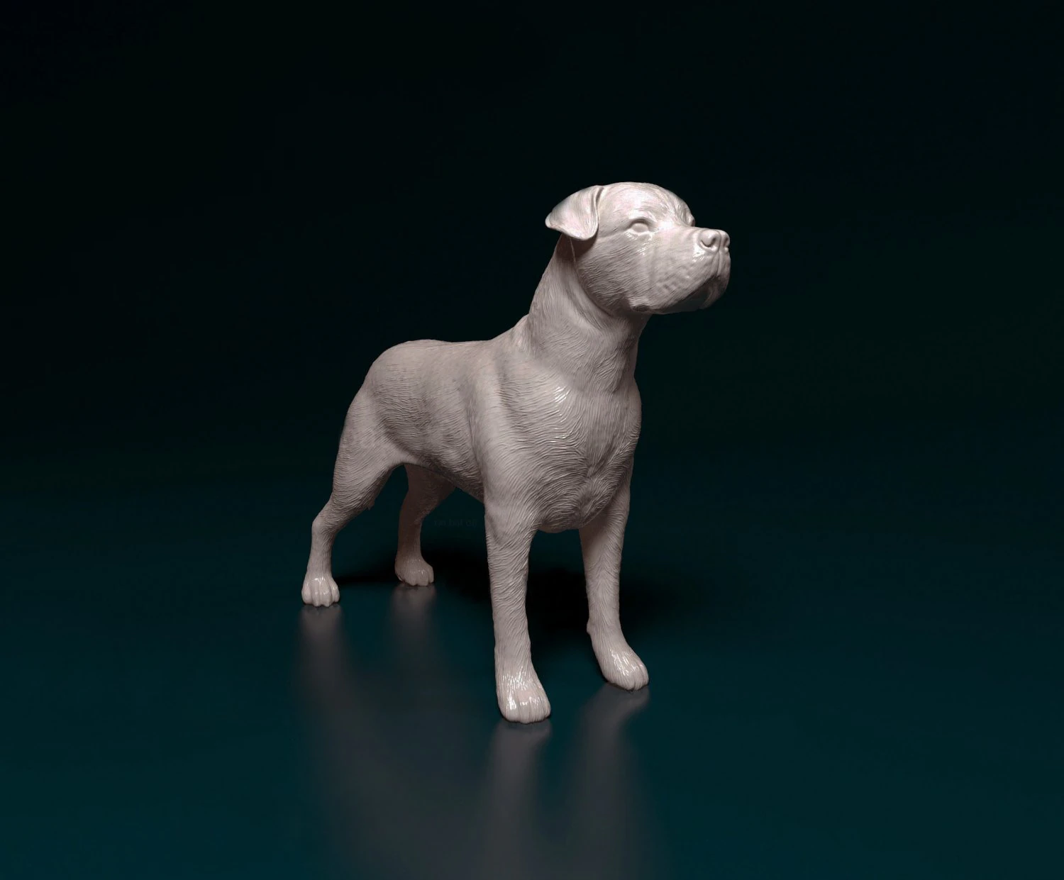 Cane Corso 3D Print Model .c4d .max .obj .3ds .fbx .stl .blend 