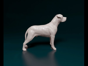Cane Corso 3D 打印模型