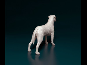 Cane Corso 3D 打印模型