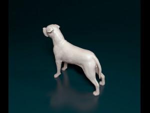 Cane Corso 3D 打印模型
