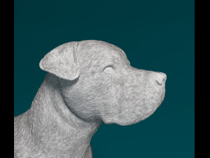 Cane Corso 3D 打印模型