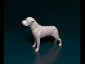 Cane Corso 3D 打印模型
