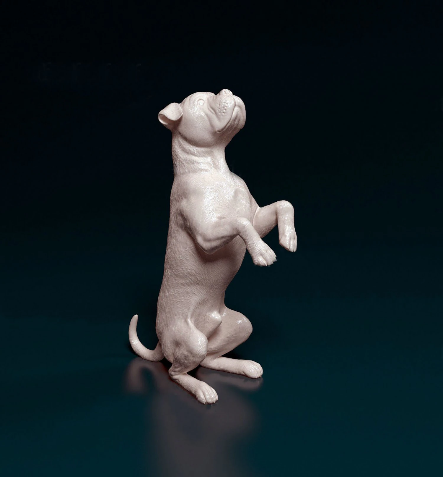 Cane Corso on rear legs 3D Print Model .c4d .max .obj .3ds .fbx .stl .blend
